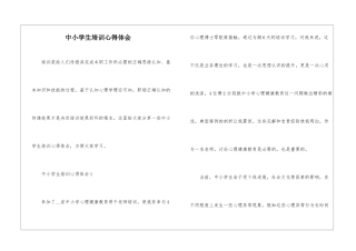 中小学生培训心得体会