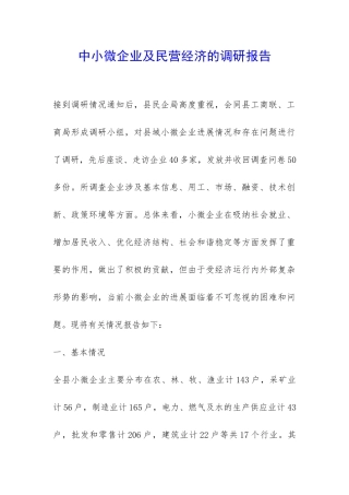 中小微企业及民营经济的调研报告-