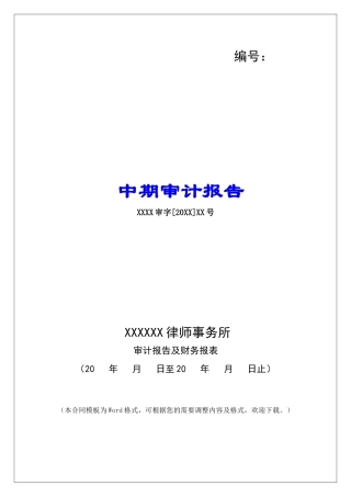 中期审计报告