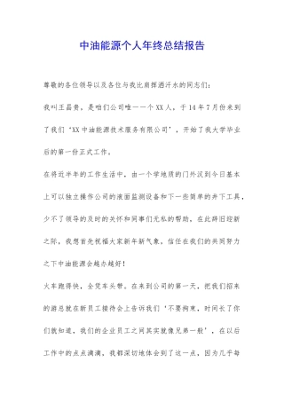 中油能源个人年终总结报告-