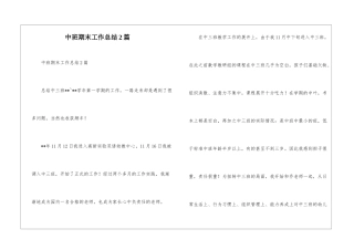 中班期末工作总结2篇--