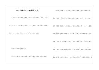 中秋节赏花灯初中作文5篇