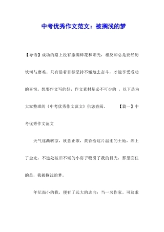 中考优秀作文范文：被搁浅的梦