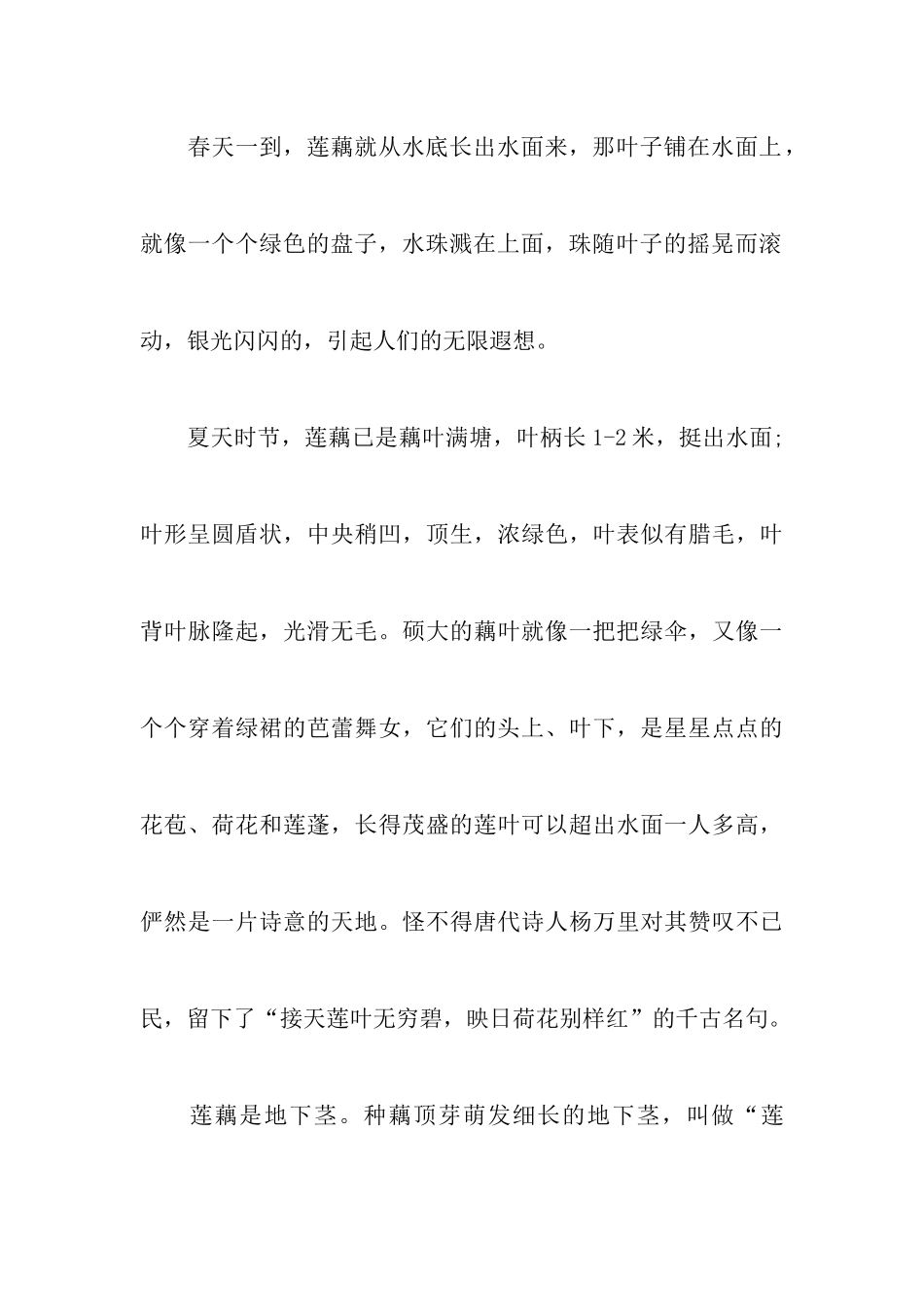中考优秀说明文作文范文：莲藕_第3页