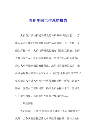 丸剂车间工作总结报告