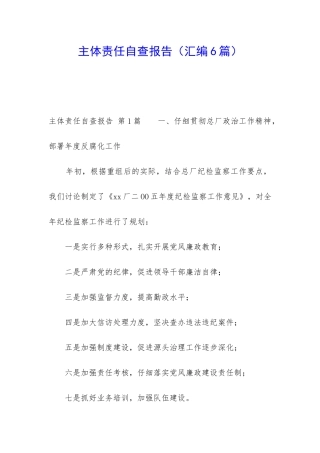 主体责任自查报告