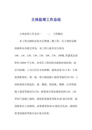 主体监理工作总结