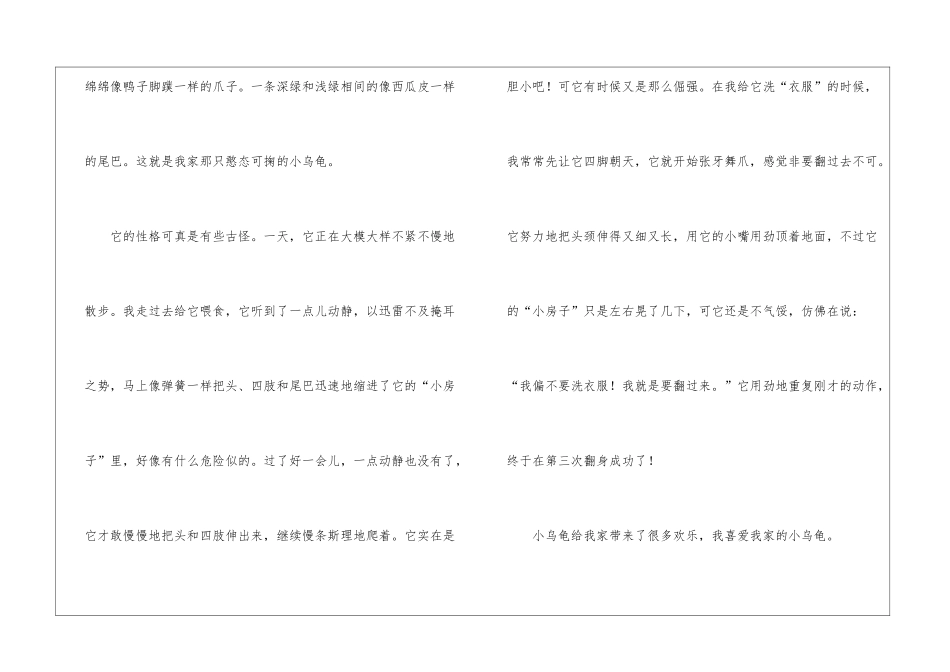 乌龟初中作文300字锦集5篇_第3页