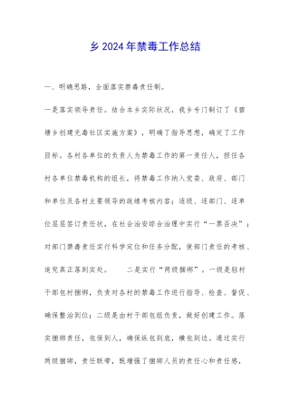 乡2024年禁毒工作总结-