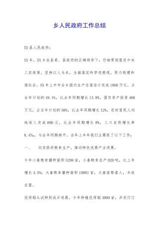 乡人民政府工作总结-