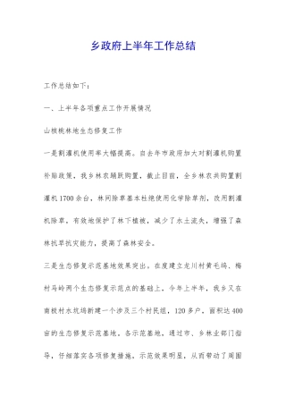 乡政府上半年工作总结-