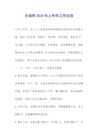 乡政府2024年上半年工作总结-