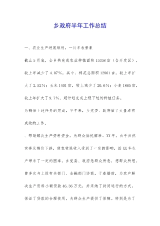 乡政府半年工作总结-