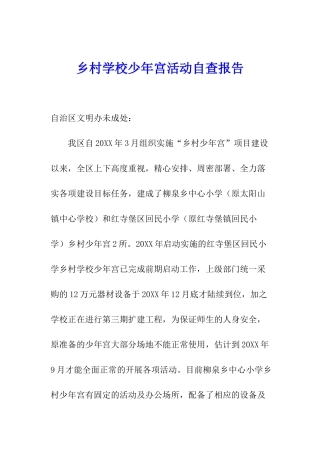 乡村学校少年宫活动自查报告