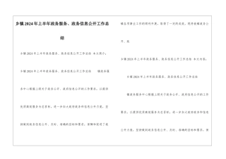 乡镇2024年上半年政务服务、政务信息公开工作总结