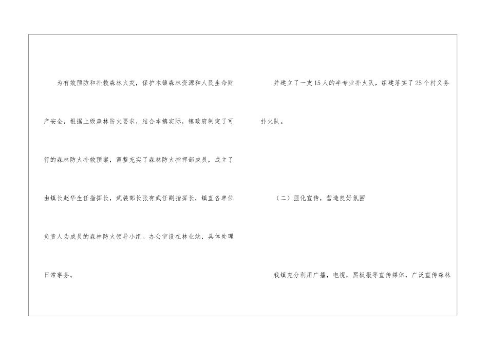 乡镇2024年度森林防火工作总结_第2页