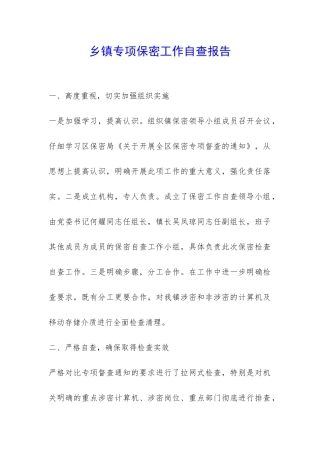 乡镇专项保密工作自查报告-