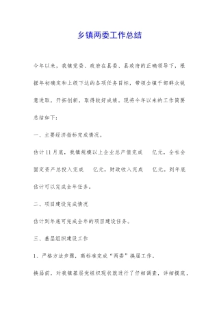 乡镇两委工作总结-