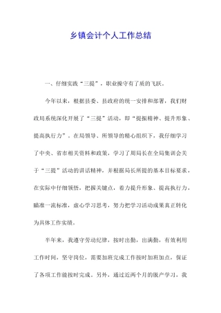 乡镇会计个人工作总结