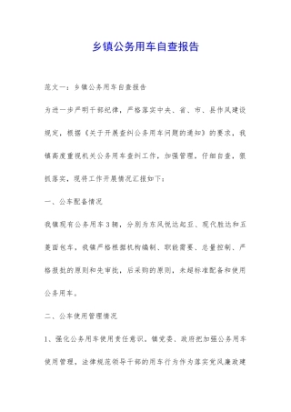 乡镇公务用车自查报告-