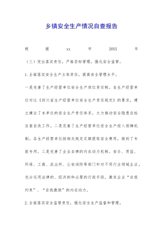 乡镇安全生产情况自查报告-