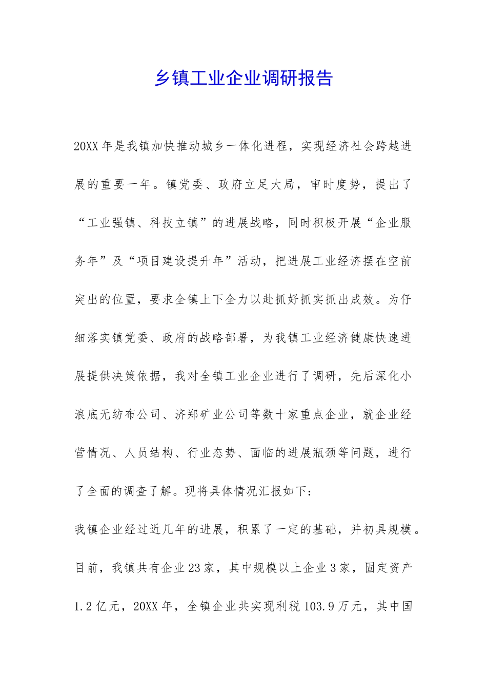 乡镇工业企业调研报告-_第1页