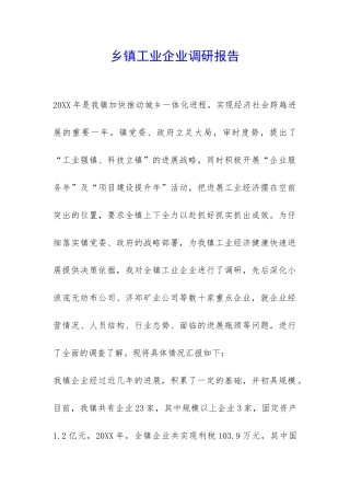 乡镇工业企业调研报告-