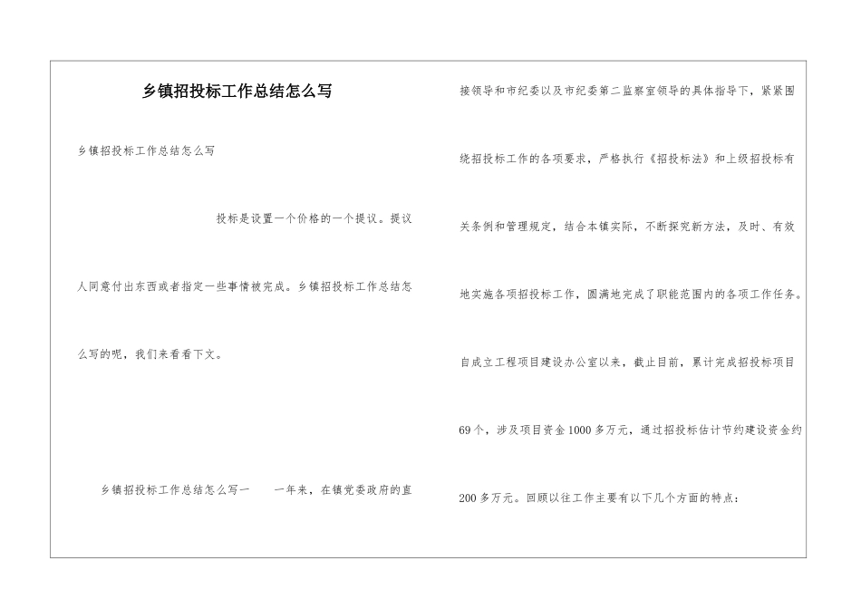 乡镇招投标工作总结怎么写_第1页