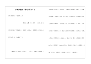 乡镇招投标工作总结怎么写