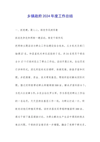 乡镇政府2024年度工作总结-