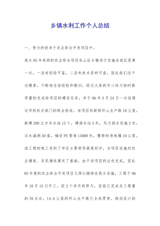 乡镇水利工作个人总结-