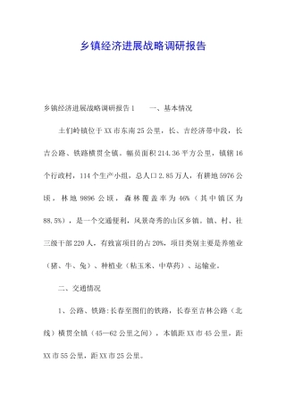 乡镇经济发展战略调研报告
