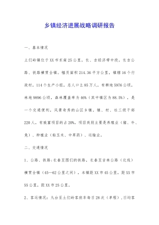 乡镇经济发展战略调研报告-