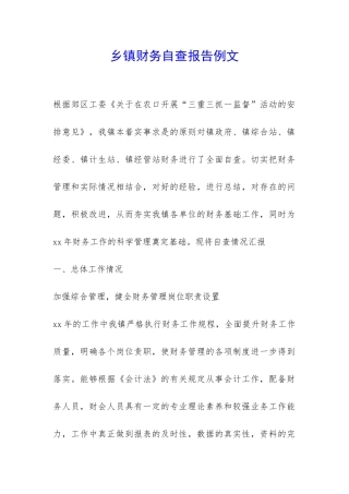 乡镇财务自查报告例文-