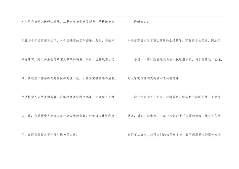 乡长就职表态发言稿_第3页