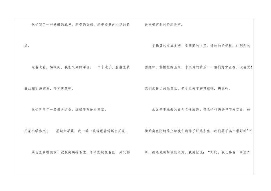 买菜小学作文_第3页