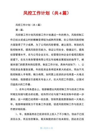 风控工作计划(共4篇)
