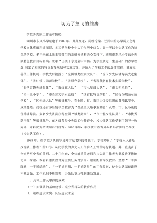 一切为了放飞的雏鹰少先队工作经验总结