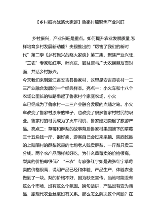 【乡村振兴战略大家谈】鲁家村篇 聚焦产业兴旺