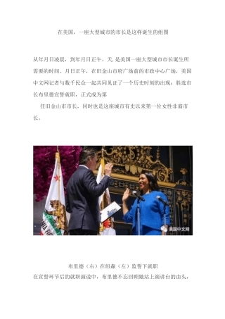 美国大型城市的市长是这样诞生的