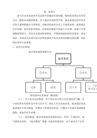 油井堵水技术方案
