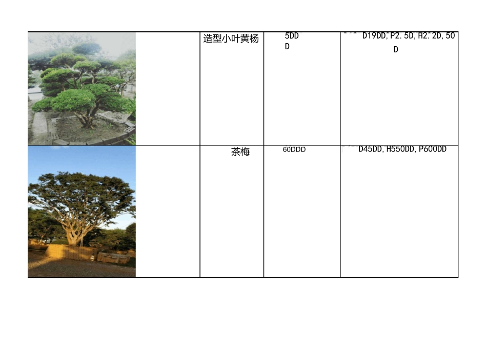 大树花卉报价单 工作表_第2页