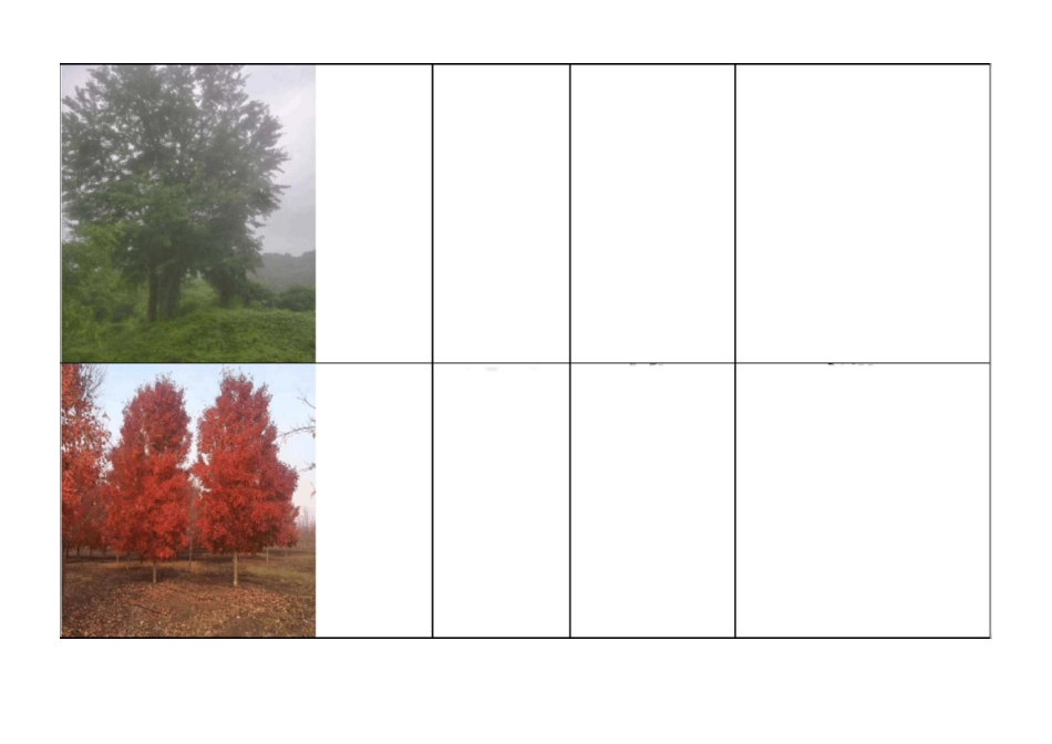 大树花卉报价单 工作表_第3页