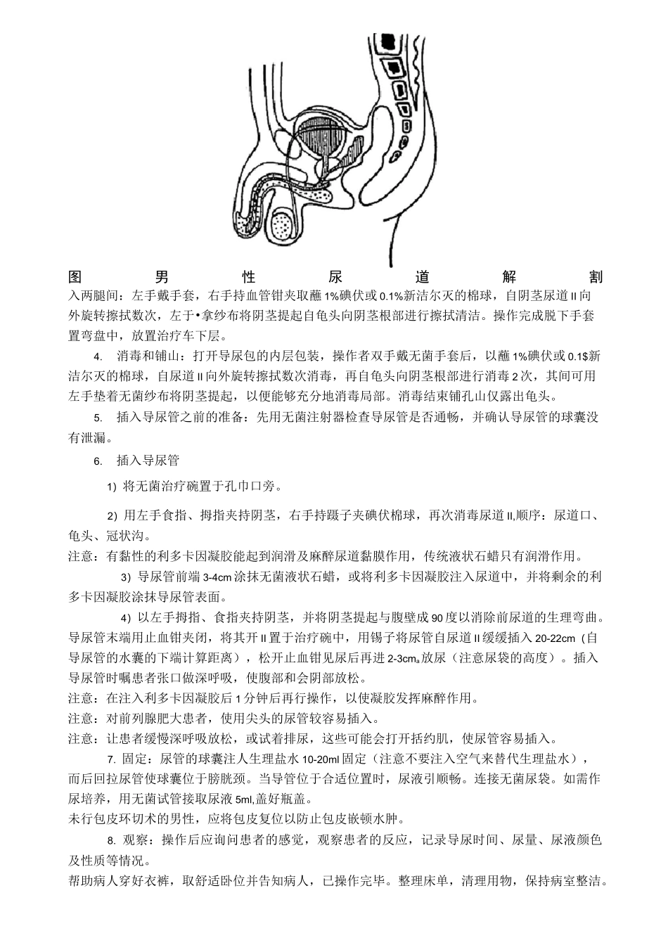 泌尿外科技能操作导尿教案_第3页