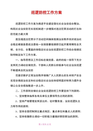 巡逻防控工作方案