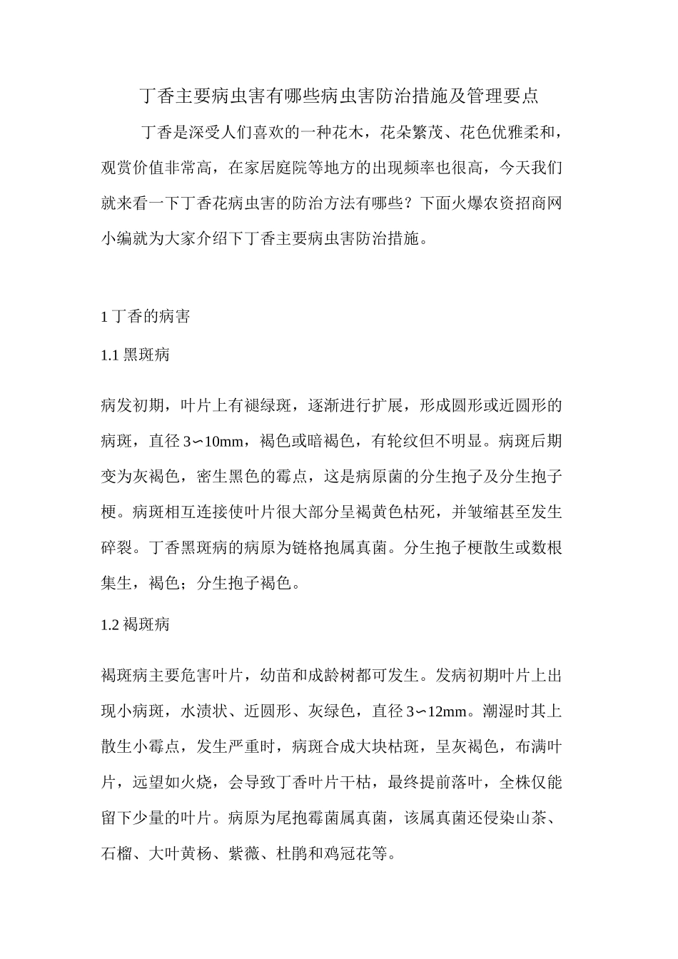 丁香主要病虫害有哪些 病虫害防治措施及管理要点_第1页