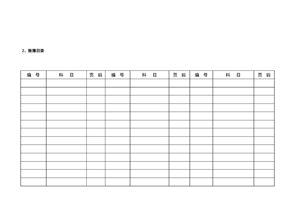 会计账簿电子格式样板_第2页