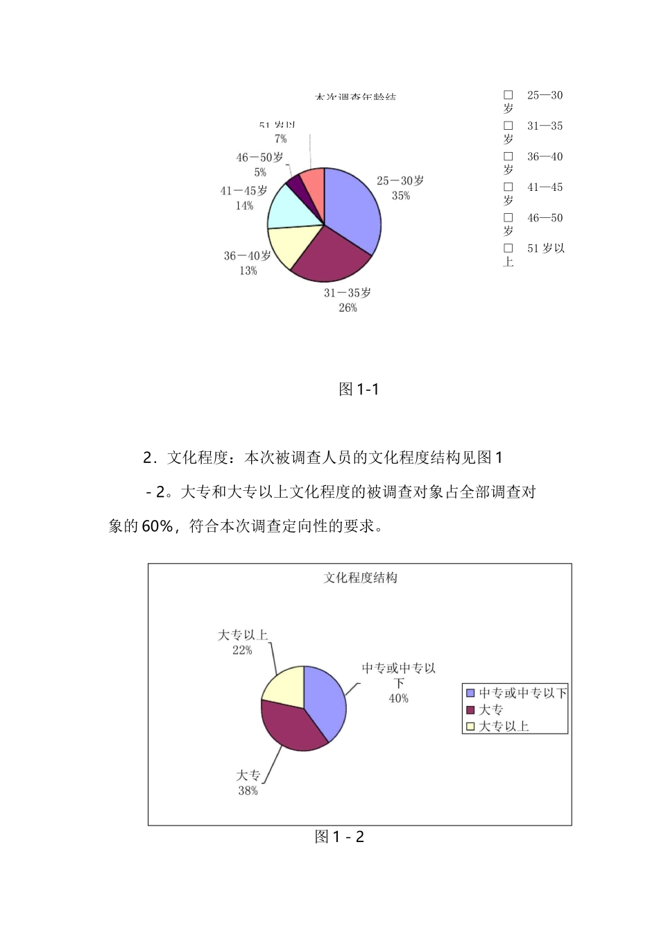 广告投放市场效果评估报告_第2页