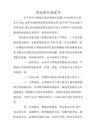 村民组长承诺书