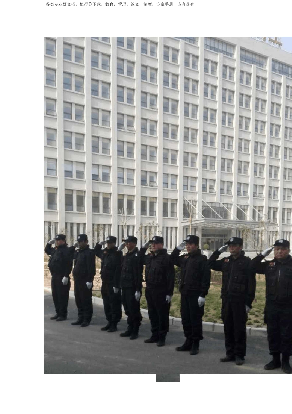 保安临时勤务保安特殊勤务_第2页